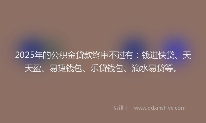 2025年的公积金贷款终审不过有：钱进快贷、天天盈、易捷钱包、乐贷钱包、滴水易贷等。