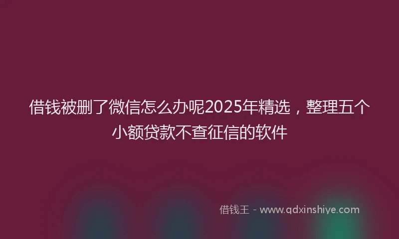 借钱被删了微信怎么办呢2025年精选，整理五个小额贷款不查征信的软件