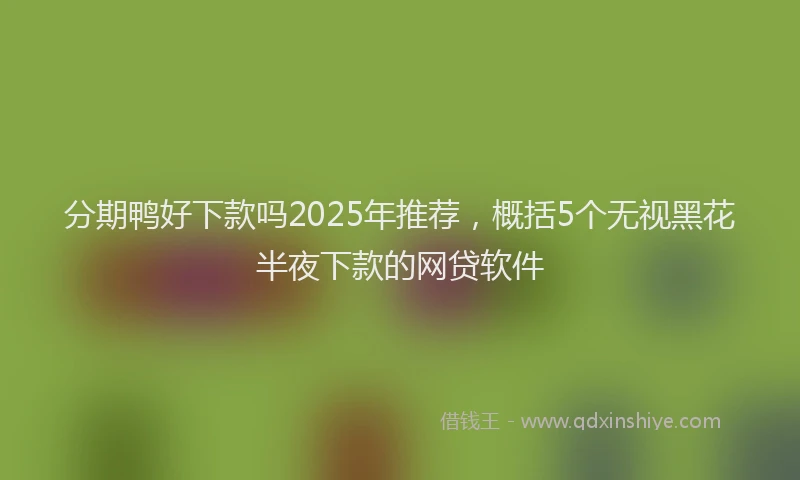 分期鸭好下款吗2025年推荐，概括5个无视黑花半夜下款的网贷软件