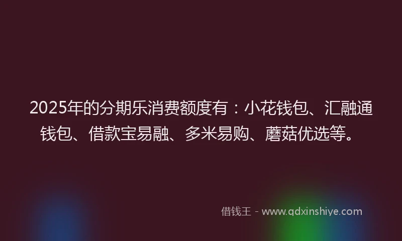 2025年的分期乐消费额度有：小花钱包、汇融通钱包、借款宝易融、多米易购、蘑菇优选等。