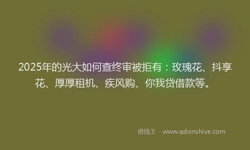 2025年的光大如何查终审被拒有：玫瑰花、抖享花、厚厚租机、疾风购、你我贷借款等。