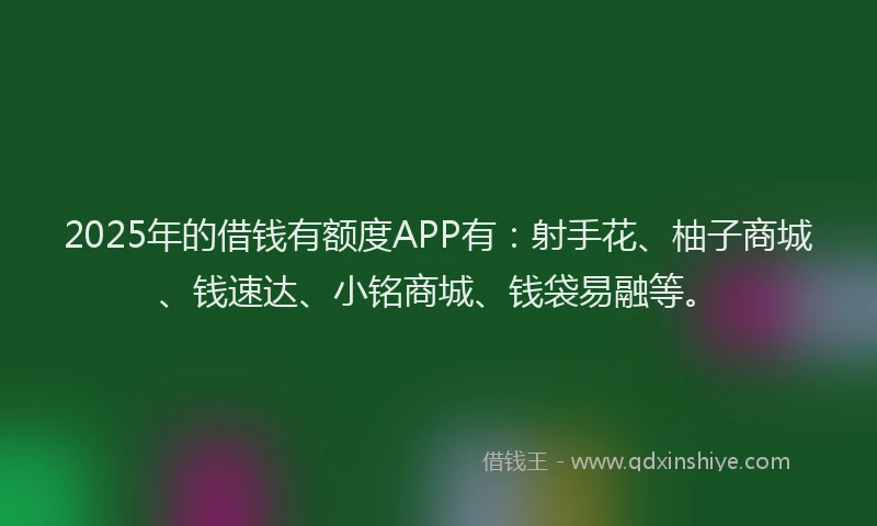 2025年的借钱有额度APP有：射手花、柚子商城、钱速达、小铭商城、钱袋易融等。