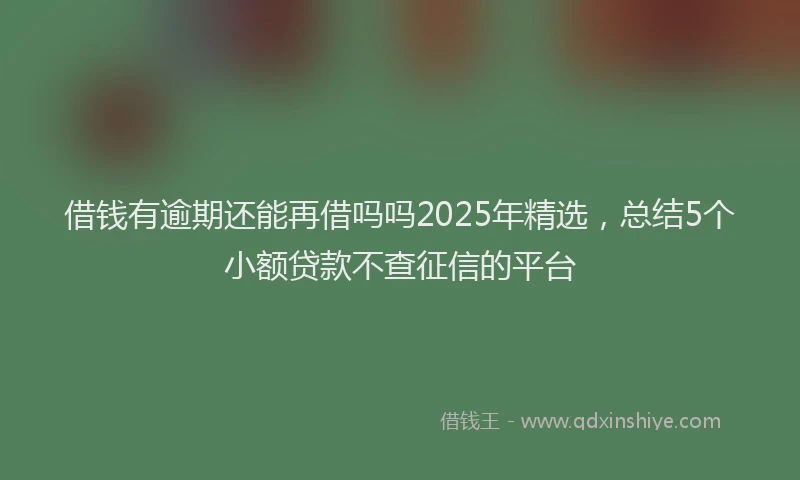 借钱有逾期还能再借吗吗2025年精选，总结5个小额贷款不查征信的平台