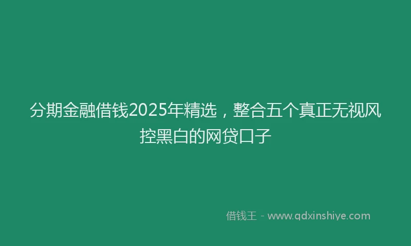 分期金融借钱2025年精选，整合五个真正无视风控黑白的网贷口子