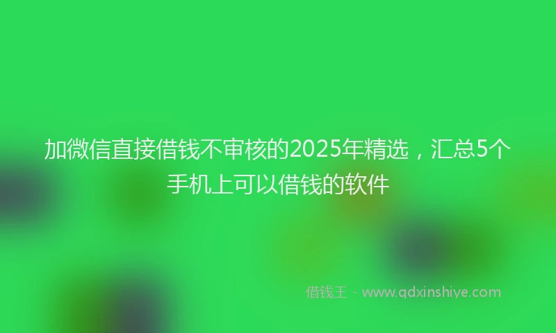 加微信直接借钱不审核的2025年精选，汇总5个手机上可以借钱的软件