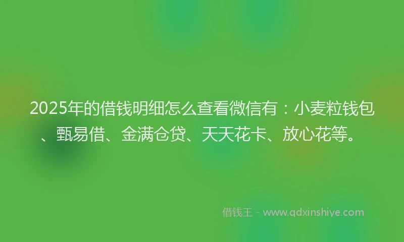 2025年的借钱明细怎么查看微信有：小麦粒钱包、甄易借、金满仓贷、天天花卡、放心花等。