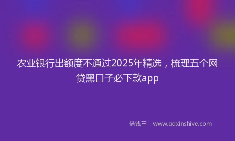 农业银行出额度不通过2025年精选，梳理五个网贷黑口子必下款app