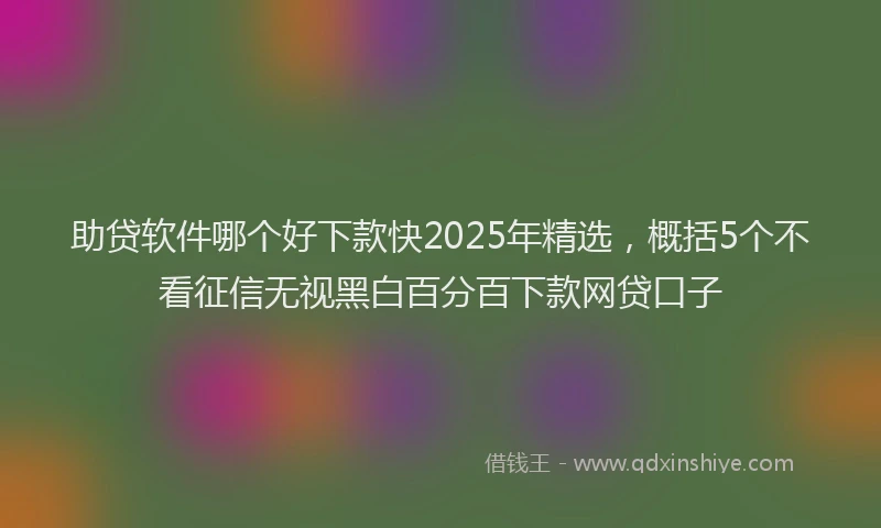助贷软件哪个好下款快2025年精选，概括5个不看征信无视黑白百分百下款网贷口子