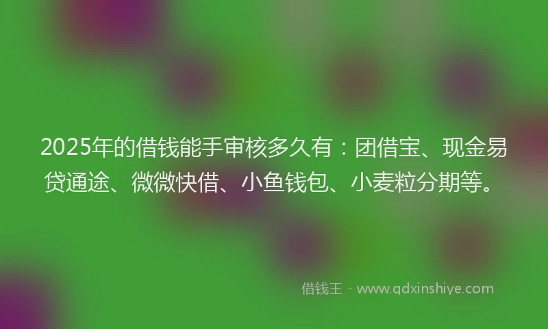 2025年的借钱能手审核多久有：团借宝、现金易贷通途、微微快借、小鱼钱包、小麦粒分期等。