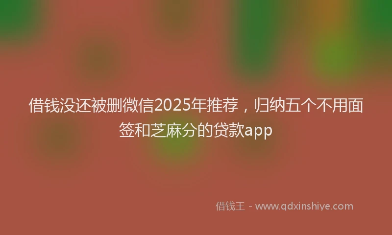 借钱没还被删微信2025年推荐，归纳五个不用面签和芝麻分的贷款app