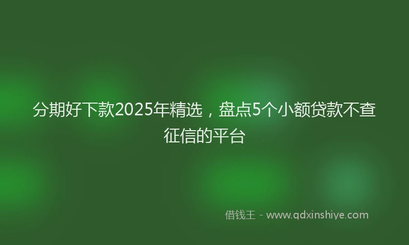 分期好下款2025年精选，盘点5个小额贷款不查征信的平台