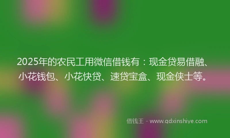 2025年的农民工用微信借钱有：现金贷易借融、小花钱包、小花快贷、速贷宝盒、现金侠士等。