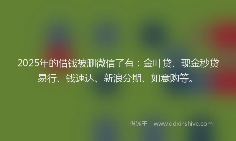 2025年的借钱被删微信了有：金叶贷、现金秒贷易行、钱速达、新浪分期、如意购等。