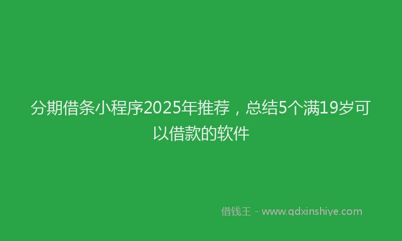 分期借条小程序2025年推荐，总结5个满19岁可以借款的软件