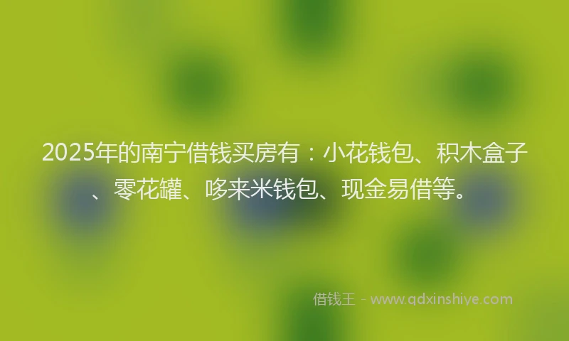 2025年的南宁借钱买房有：小花钱包、积木盒子、零花罐、哆来米钱包、现金易借等。
