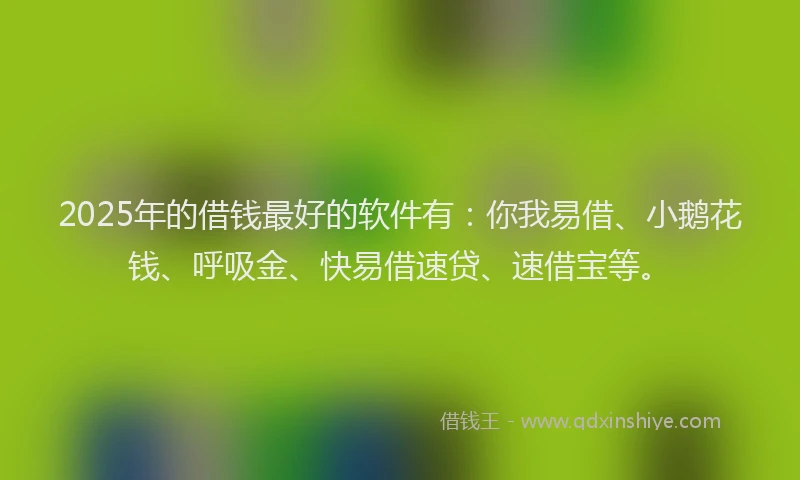 2025年的借钱最好的软件有：你我易借、小鹅花钱、呼吸金、快易借速贷、速借宝等。