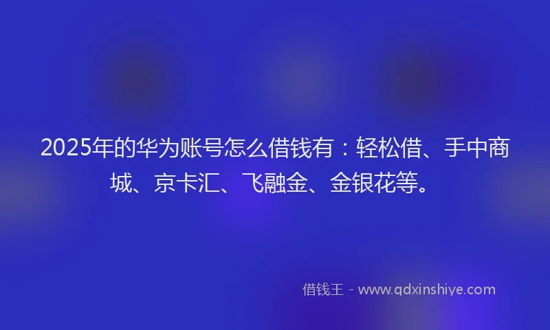 2025年的华为账号怎么借钱有：轻松借、手中商城、京卡汇、飞融金、金银花等。