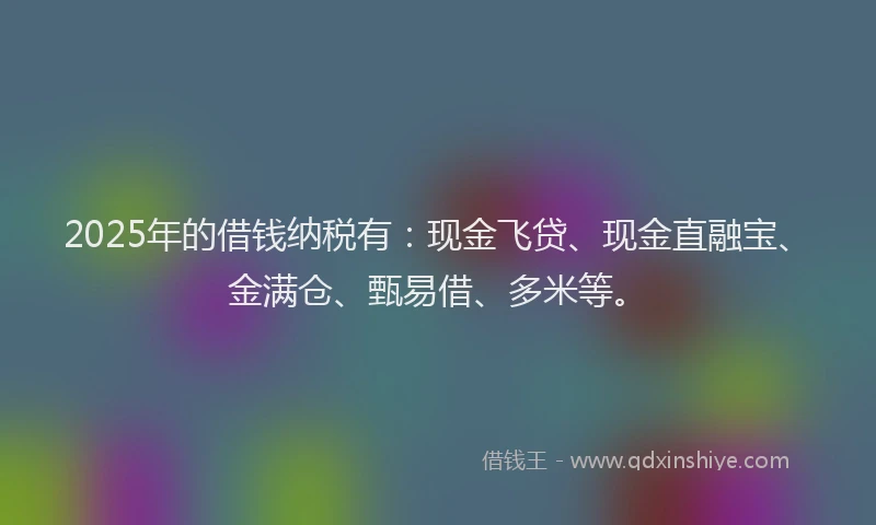 2025年的借钱纳税有：现金飞贷、现金直融宝、金满仓、甄易借、多米等。