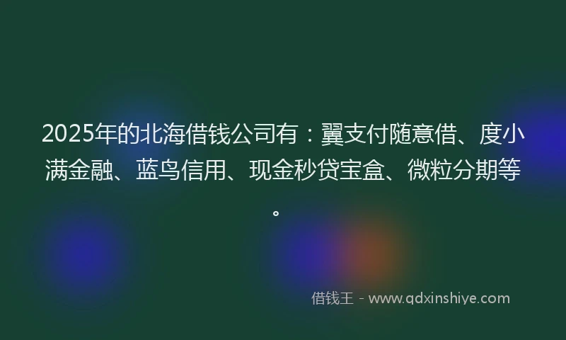 2025年的北海借钱公司有：翼支付随意借、度小满金融、蓝鸟信用、现金秒贷宝盒、微粒分期等。