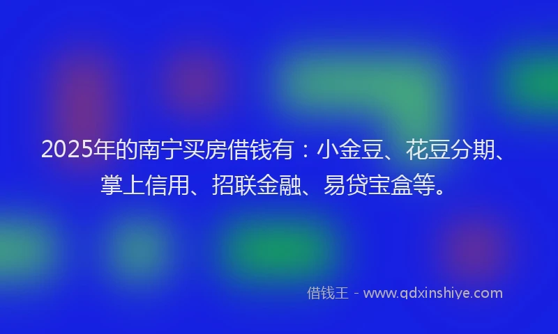 2025年的南宁买房借钱有：小金豆、花豆分期、掌上信用、招联金融、易贷宝盒等。