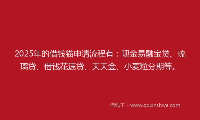 2025年的借钱猫申请流程有：现金易融宝贷、琉璃贷、借钱花速贷、天天金、小麦粒分期等。