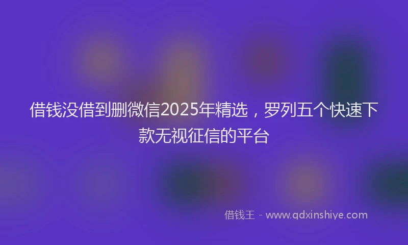 借钱没借到删微信2025年精选，罗列五个快速下款无视征信的平台