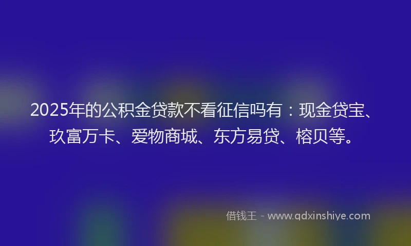 2025年的公积金贷款不看征信吗有：现金贷宝、玖富万卡、爱物商城、东方易贷、榕贝等。