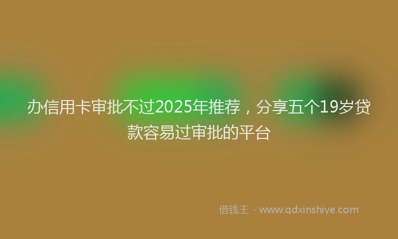 办信用卡审批不过2025年推荐，分享五个19岁贷款容易过审批的平台