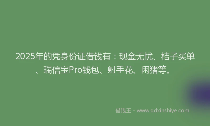 2025年的凭身份证借钱有：现金无忧、桔子买单、瑞信宝Pro钱包、射手花、闲猪等。