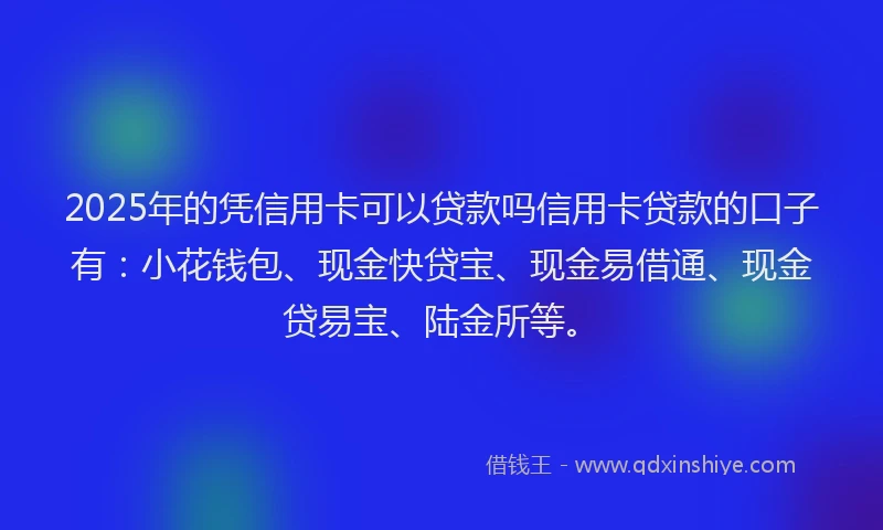 2025年的凭信用卡可以贷款吗信用卡贷款的口子有：小花钱包、现金快贷宝、现金易借通、现金贷易宝、陆金所等。