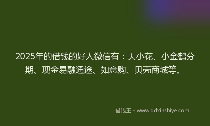 2025年的借钱的好人微信有：天小花、小金鹤分期、现金易融通途、如意购、贝壳商城等。