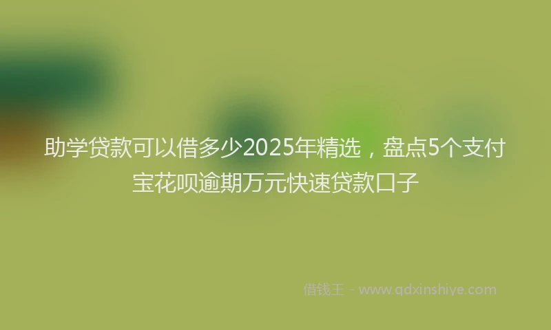 助学贷款可以借多少2025年精选，盘点5个支付宝花呗逾期万元快速贷款口子