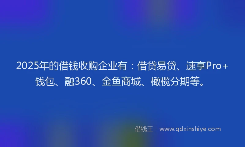 2025年的借钱收购企业有：借贷易贷、速享Pro+钱包、融360、金鱼商城、橄榄分期等。
