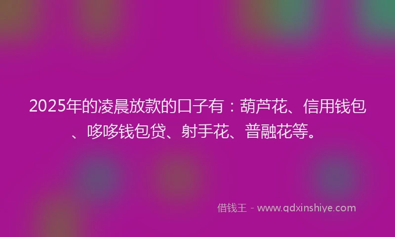 2025年的凌晨放款的口子有：葫芦花、信用钱包、哆哆钱包贷、射手花、普融花等。