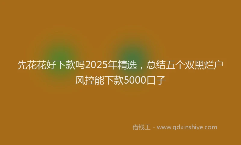 先花花好下款吗2025年精选，总结五个双黑烂户风控能下款5000口子