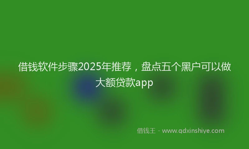 借钱软件步骤2025年推荐，盘点五个黑户可以做大额贷款app