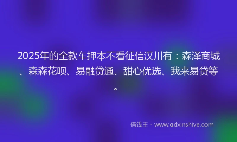 2025年的全款车押本不看征信汉川有：森泽商城、森森花呗、易融贷通、甜心优选、我来易贷等。