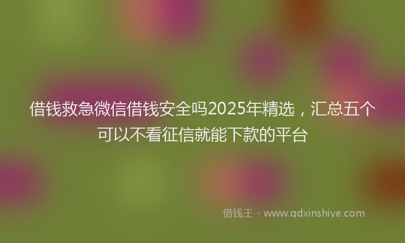借钱救急微信借钱安全吗2025年精选，汇总五个可以不看征信就能下款的平台