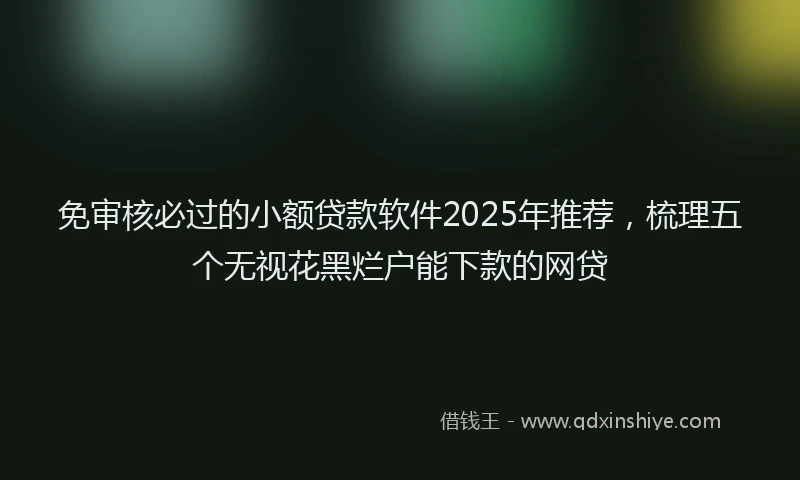 免审核必过的小额贷款软件2025年推荐，梳理五个无视花黑烂户能下款的网贷