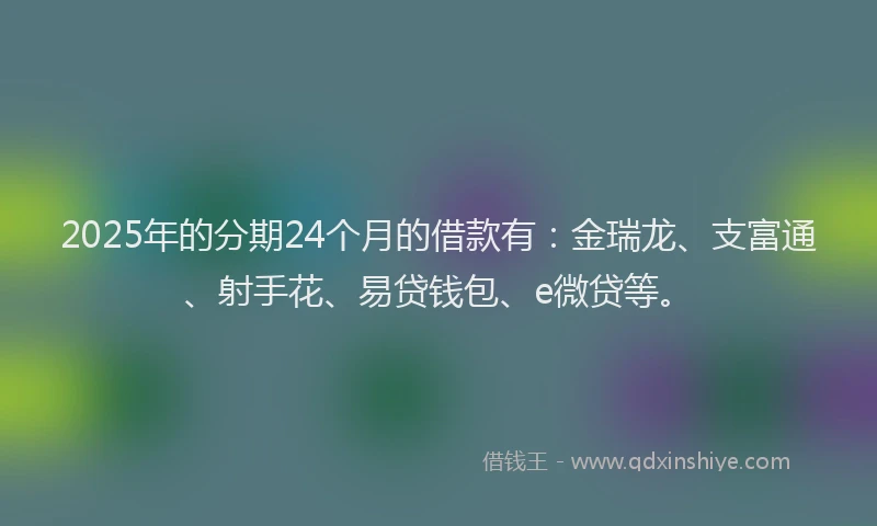 2025年的分期24个月的借款有：金瑞龙、支富通、射手花、易贷钱包、e微贷等。