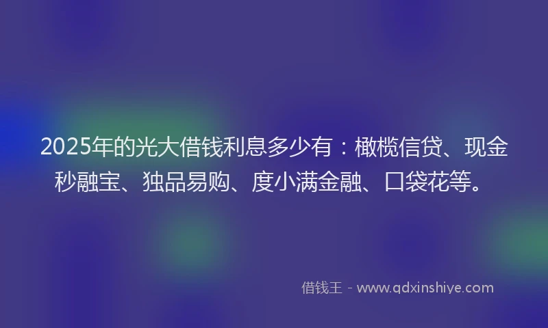 2025年的光大借钱利息多少有：橄榄信贷、现金秒融宝、独品易购、度小满金融、口袋花等。