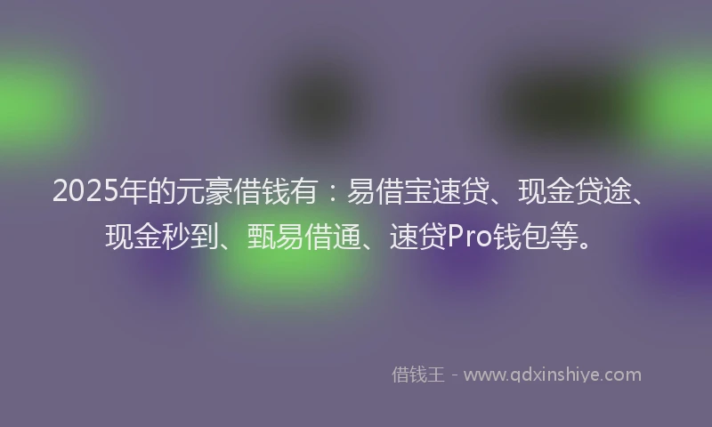2025年的元豪借钱有：易借宝速贷、现金贷途、现金秒到、甄易借通、速贷Pro钱包等。