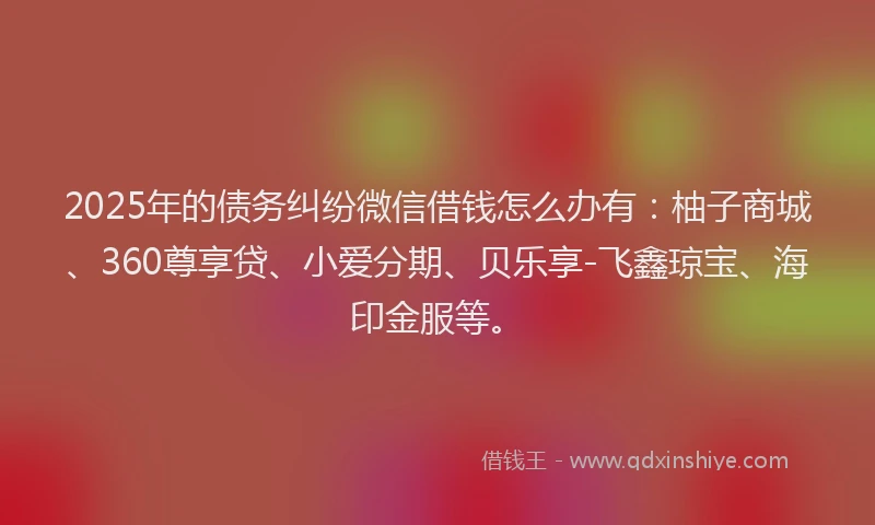2025年的债务纠纷微信借钱怎么办有：柚子商城、360尊享贷、小爱分期、贝乐享-飞鑫琼宝、海印金服等。