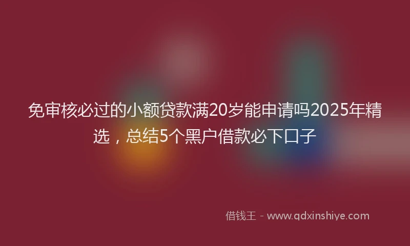 免审核必过的小额贷款满20岁能申请吗2025年精选，总结5个黑户借款必下口子