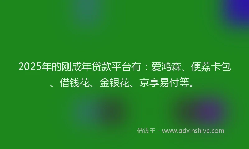 2025年的刚成年贷款平台有：爱鸿森、便荔卡包、借钱花、金银花、京享易付等。