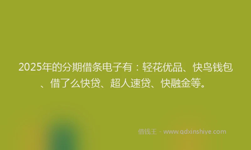2025年的分期借条电子有：轻花优品、快鸟钱包、借了么快贷、超人速贷、快融金等。