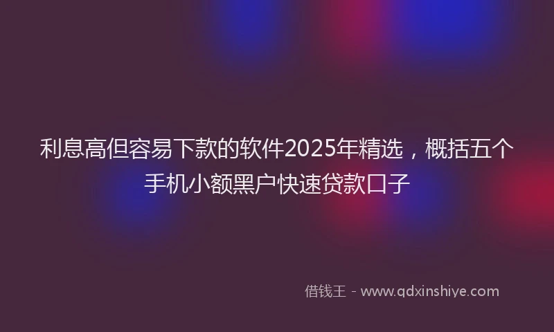 利息高但容易下款的软件2025年精选，概括五个手机小额黑户快速贷款口子