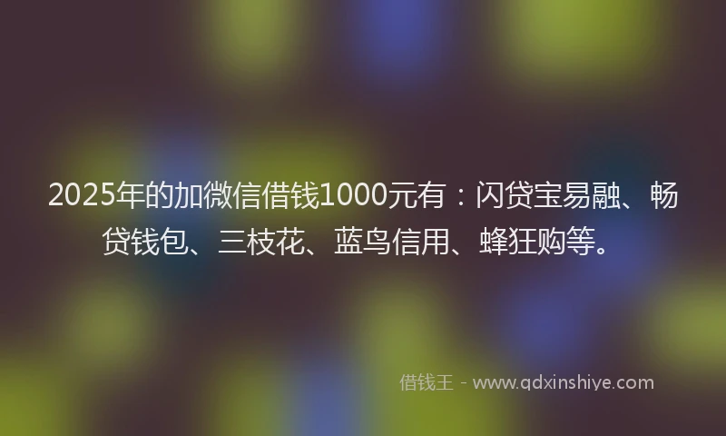 2025年的加微信借钱1000元有：闪贷宝易融、畅贷钱包、三枝花、蓝鸟信用、蜂狂购等。