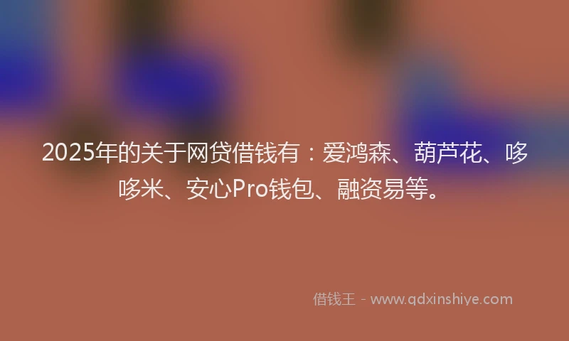 2025年的关于网贷借钱有：爱鸿森、葫芦花、哆哆米、安心Pro钱包、融资易等。