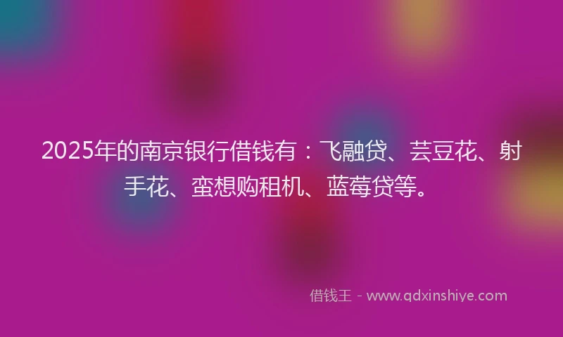2025年的南京银行借钱有：飞融贷、芸豆花、射手花、蛮想购租机、蓝莓贷等。